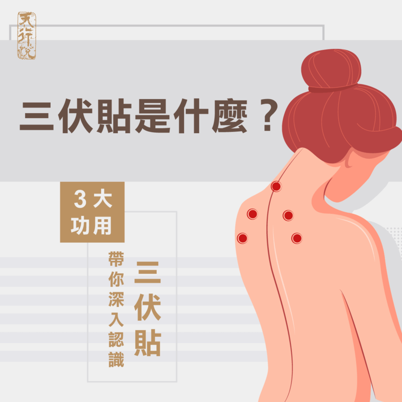 三伏貼是什麼-三伏貼功用