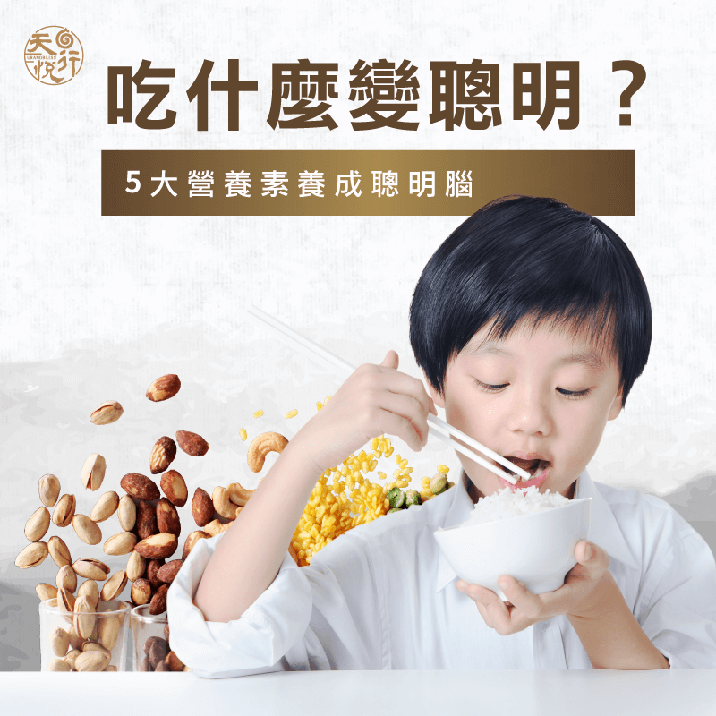 吃什麼變聰明-變聰明食物