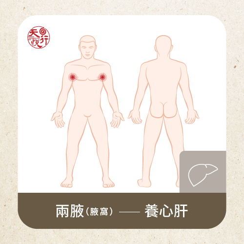 疏通兩腋經絡養心肝-疏通經絡方法有哪些