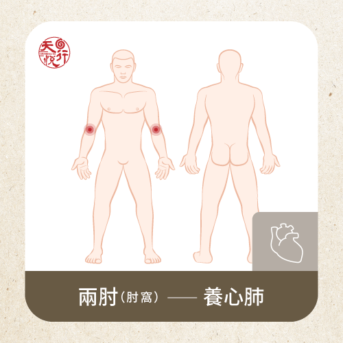 疏通兩肘經絡養心肺-疏通經絡方法有哪些