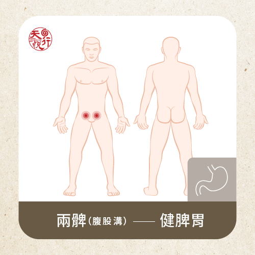 疏通兩髀經絡健脾胃-疏通經絡方法