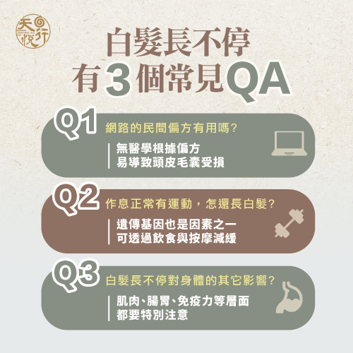 白髮長不停3大QA-白髮長不停