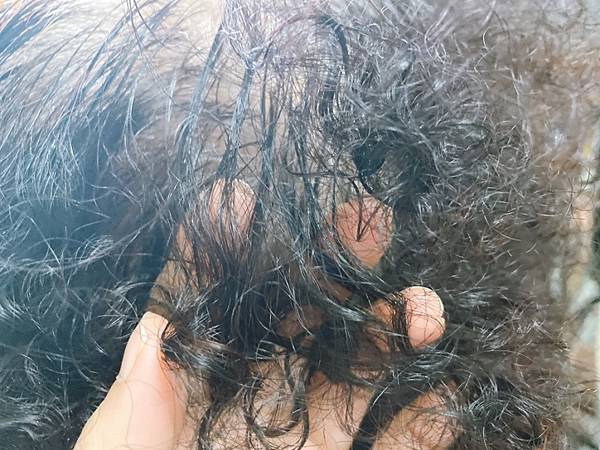 噴噴黑染髮體驗-白髮補染推薦