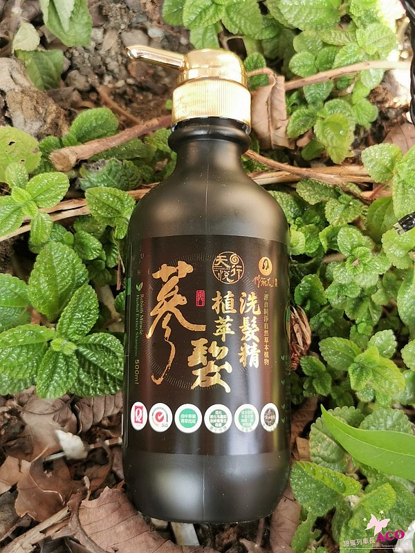 蔘髮植萃洗髮精-天然洗髮精推薦